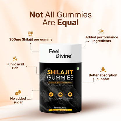 Shilajit Gummies | Energy & Stamina Support | 30,60,90 Gummies